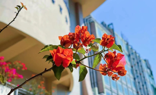 香港浸會大學